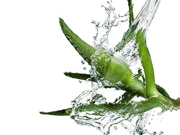 Memory (AG, CCL1, Größe 3, Beinlänge Lang-Plus, Fußlänge Kurz)